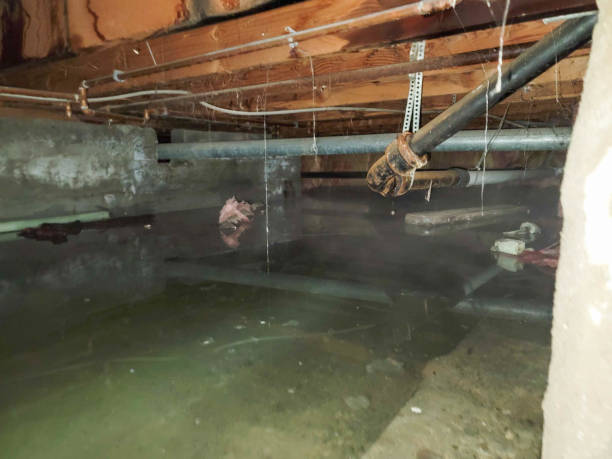 Best Residential water damage restoration  in California, PA