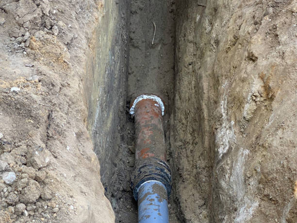 Best Flood damage cleanup  in California, PA