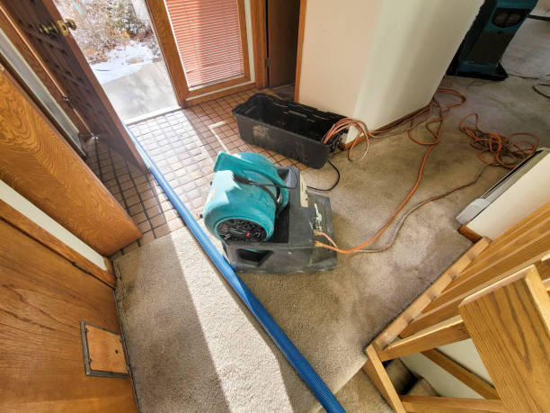 Reliable California, PA Water damage restoration Solutions