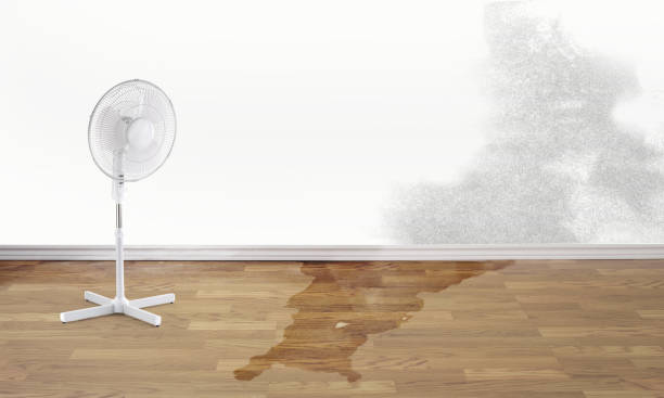 Best Water damage restoration company  in California, PA