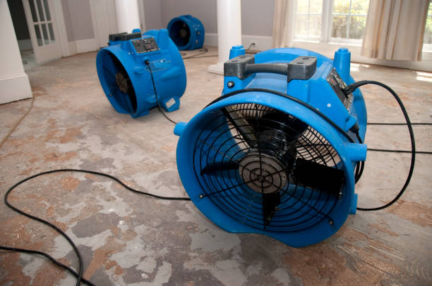 Best Local water damage restoration  in California, PA