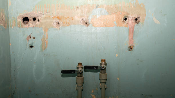 Best Residential water damage restoration  in California, PA